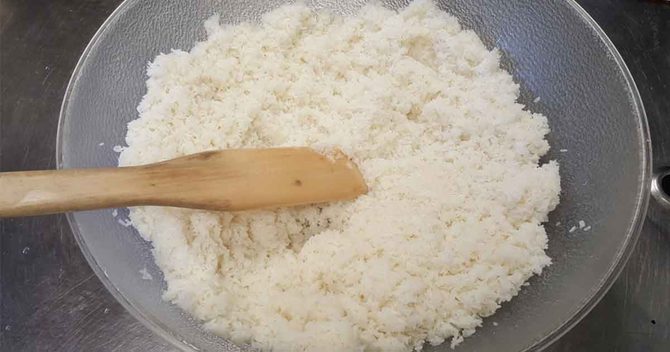 Plant, Rice, Vegetable
